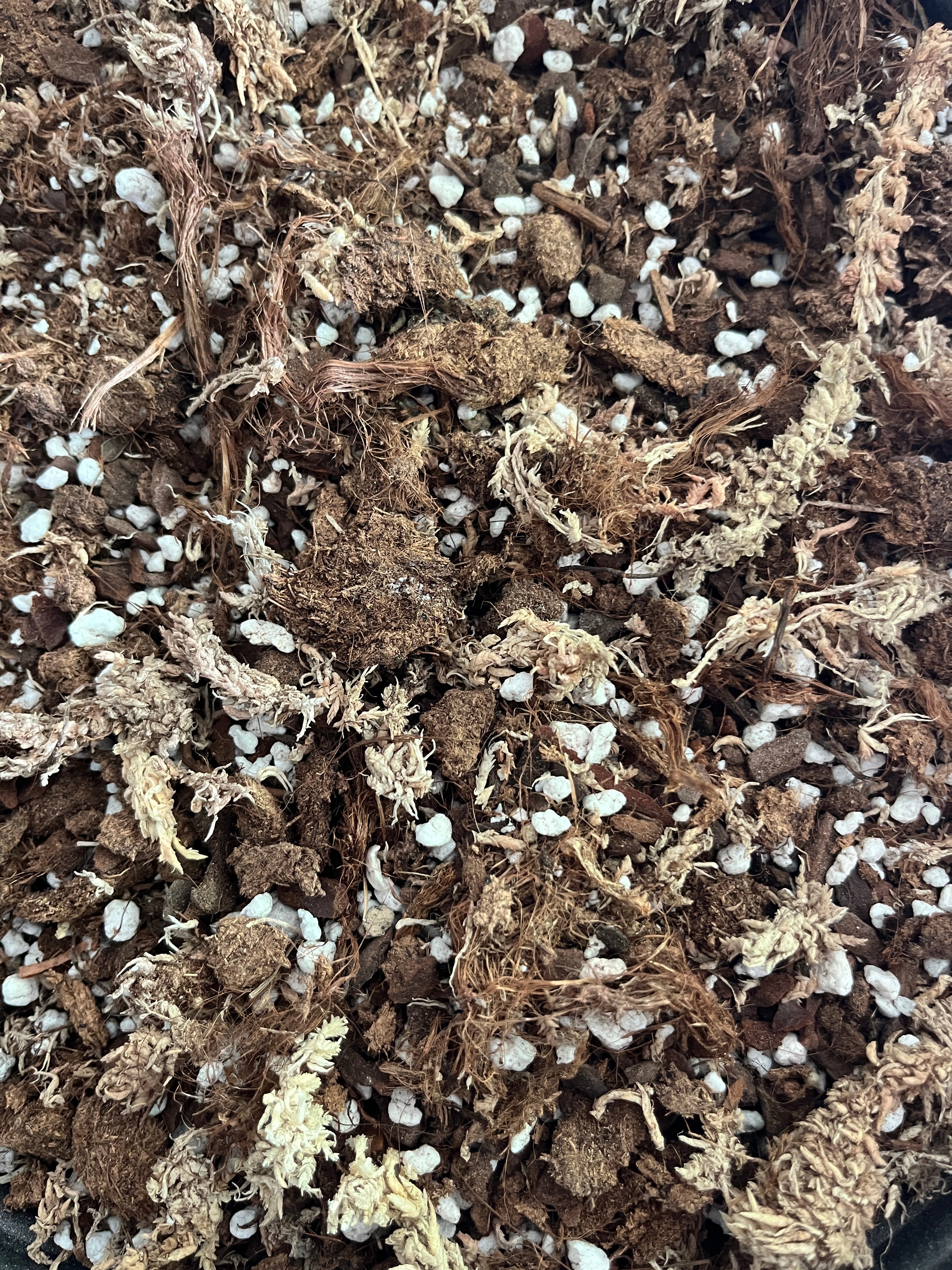 Profi Substrat für Nepenthes