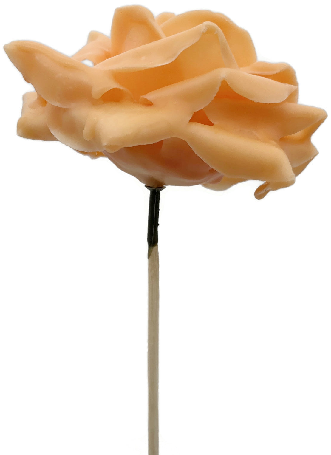 Wachsrose - pfirsich-farbene Rose aus Wachs