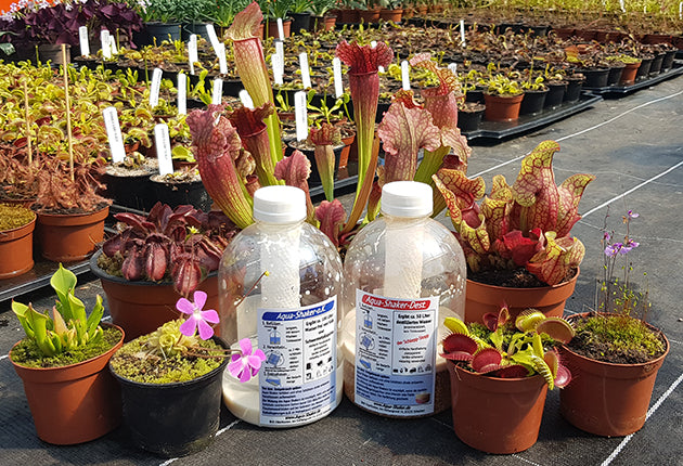Shake & Grow – Das Wasser-Duo