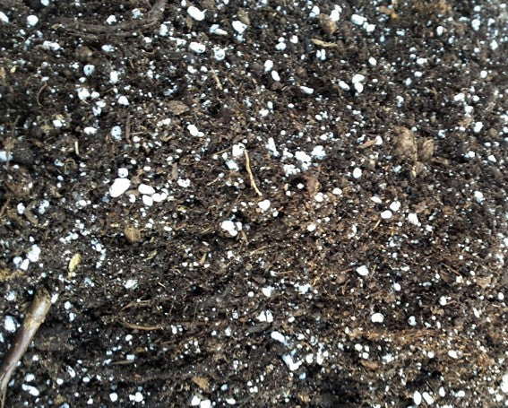 Substrat für die Aussaat