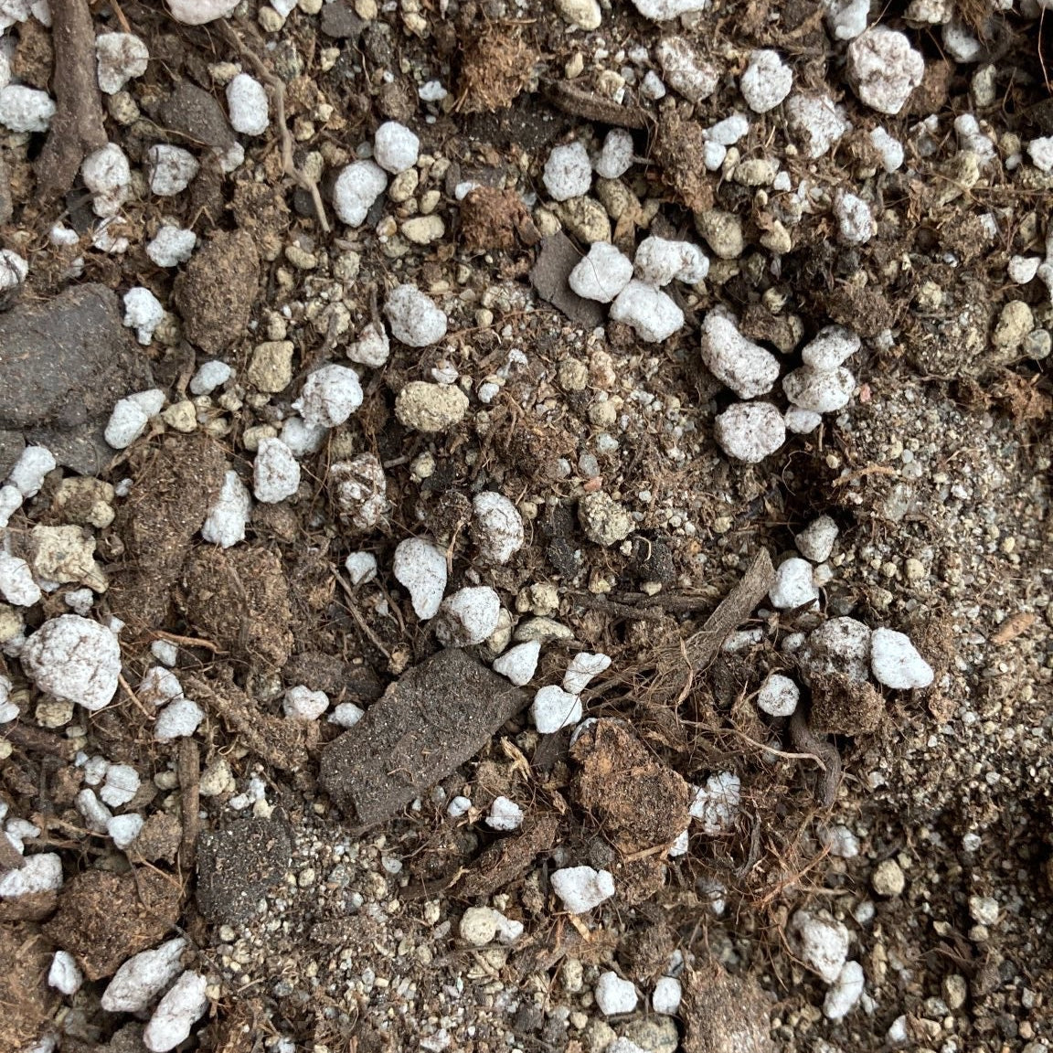 Substrat für Kakteen & Sukkulenten