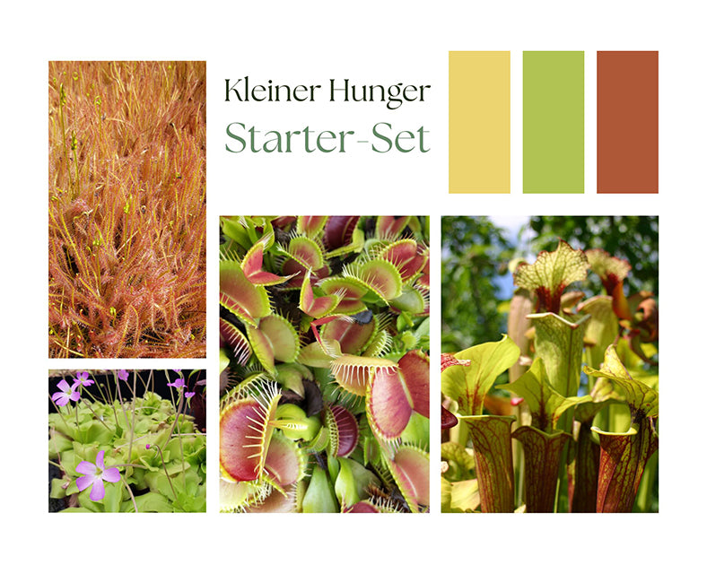 Starter-Set "Kleiner Hunger"