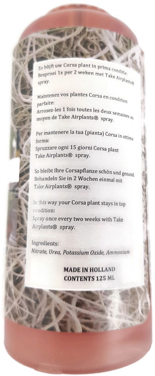 Tillandsia Spray - Pflegespray für Tillandsien